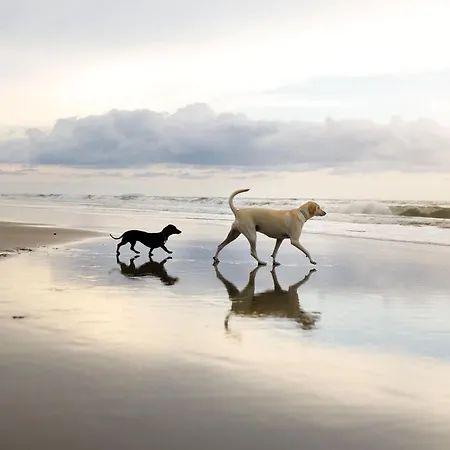 Meadow Shores Casa de Férias